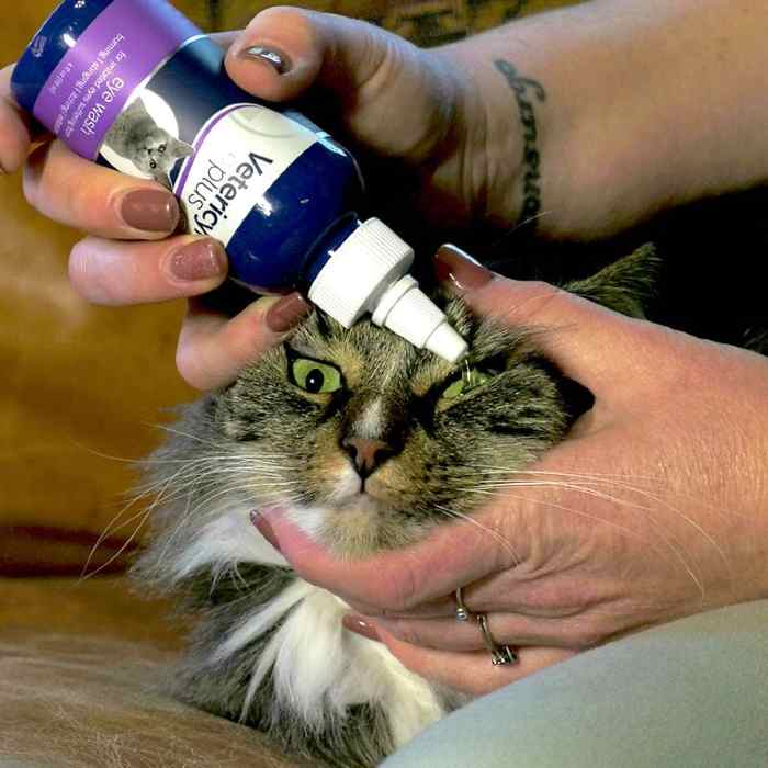 Cat-eye-wash-image