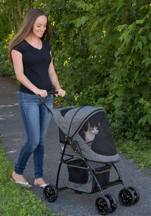 Read more about the article Cat Stroller