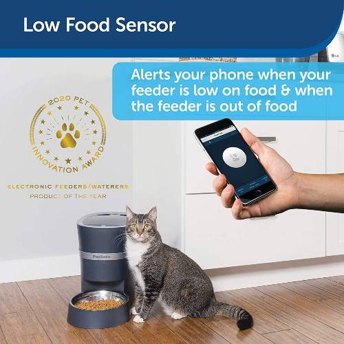 Petsmart-automatic-cat-feeder