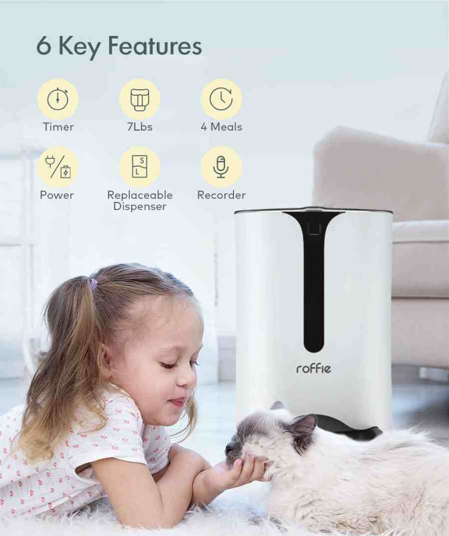 Best Automatic Cat Feeders with Timers Timed Cat Food Dispensers Reviews