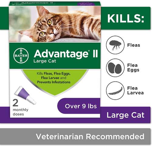 Advantage-II-Flea-Treatment-For-Cats