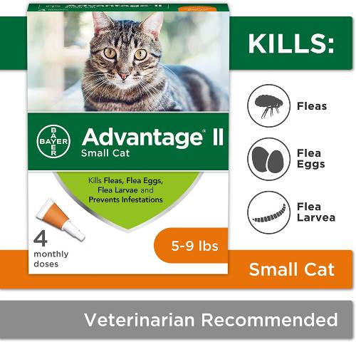Advantage II Flea Treatment For Small Cats
