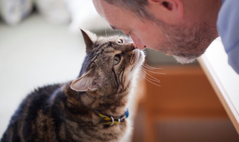 a man who loves his cat