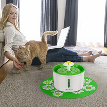 Read more about the article Cat Water Fountain