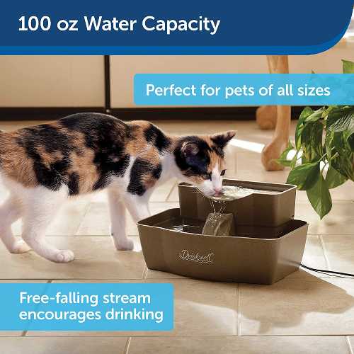 PetSafe-Cat-Water-Fountain-image
