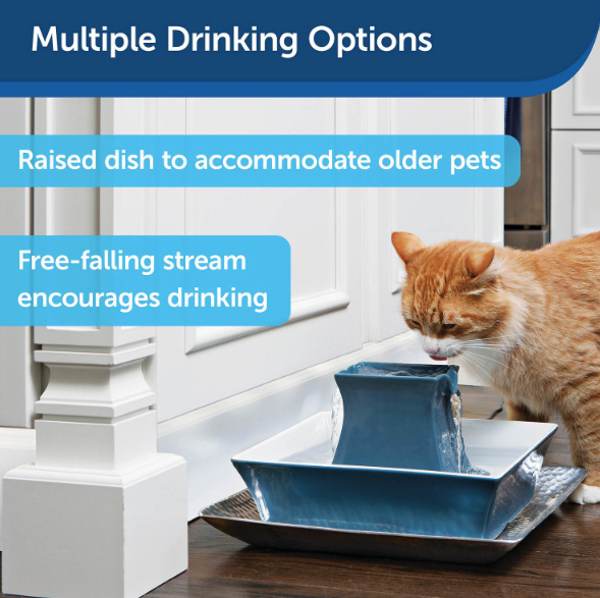 petsafe drinkwell pagoda cat fountain