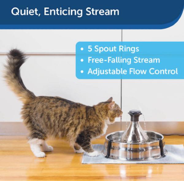 petsafe drinkwell stainless steel cat fountain