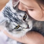 Best Dry Kitten Food