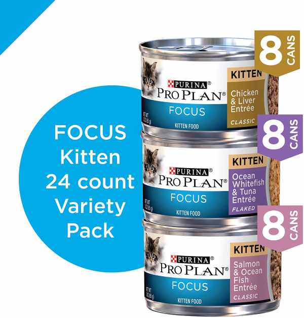 Purina Pro Plan Wet Kitten Food