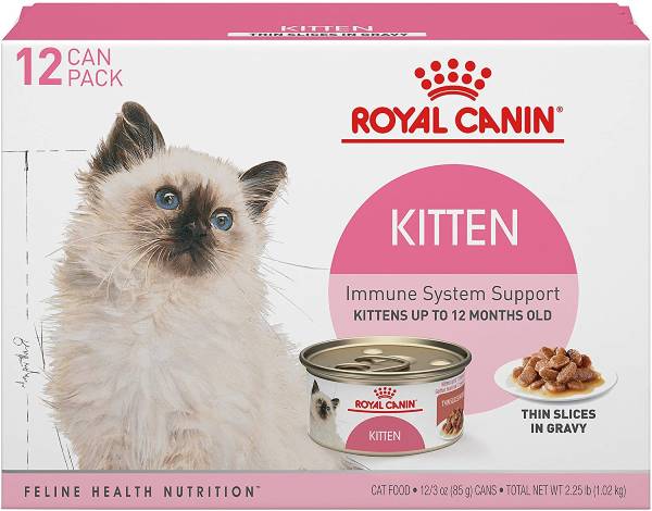 Royal Canin Kitten Wet Food