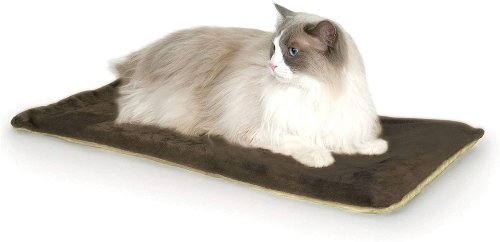Best heated cat bed