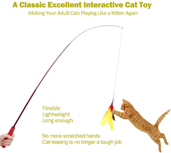Cat Toys