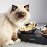 Elevated Cat Bowls