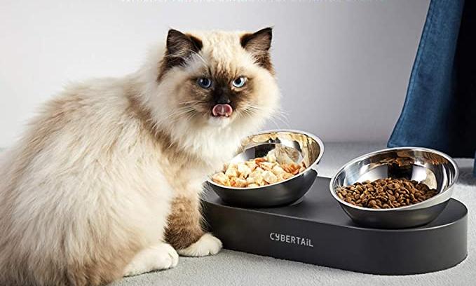 Elevated Cat Food Bowl