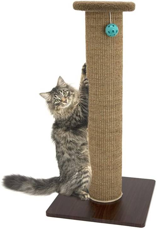 Kitty City Cat Scratching Post