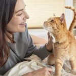 Limited Ingredient Cat Food
