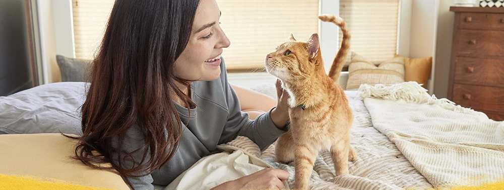 Read more about the article Limited Ingredient Cat Food