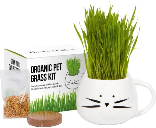 Organic Cat Cat Grass
