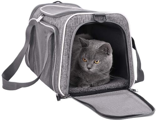 Petisfam Cat Carrier