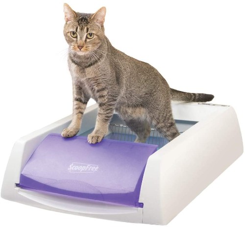 Petsafe-self-cleaning-litter-box