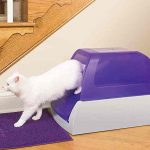 Self Cleaning Litter Box