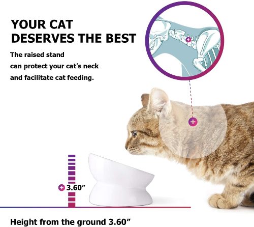 YYHY cat bowl benefit