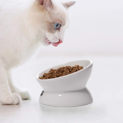 YYHY cat bowl image