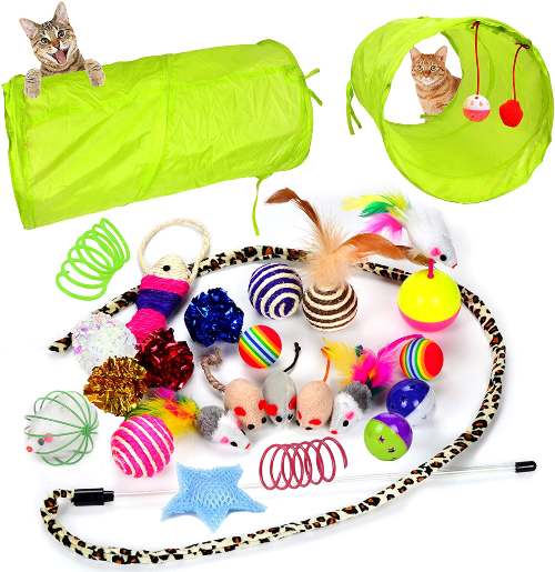 Youngever Interactive Cat Toy
