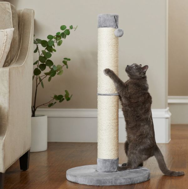 frisco 35inch sisal cat scratching post