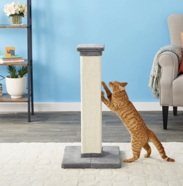 frisco sisal cat scratching post
