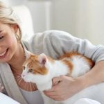 Freeze Dried Cat Food