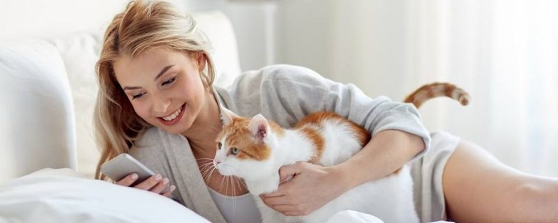 Read more about the article Freeze Dried Cat Food