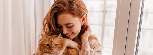 Read more about the article Hydrolyzed Protein Cat Food