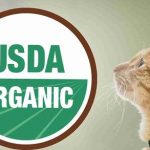 Organic Cat Food