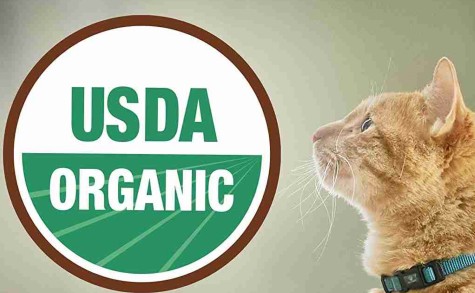 Read more about the article Organic Cat Food