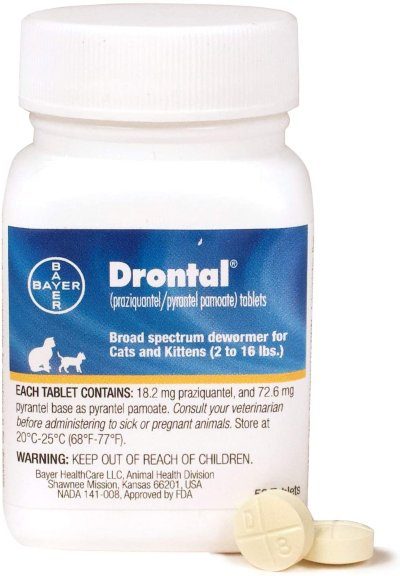 Bayer Drontal Cat Dewormer