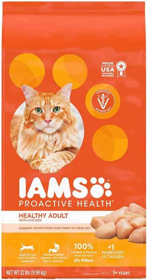 IAMS Dry Cat Food