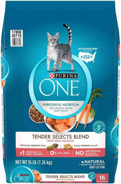 Purina One Dry Cat Food