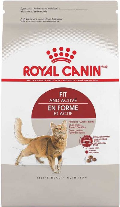 Royal Canin Best Cat Food