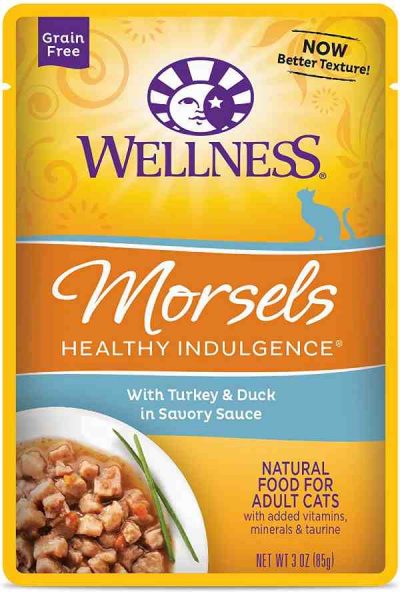 Wellness Soft Dry Cat Food