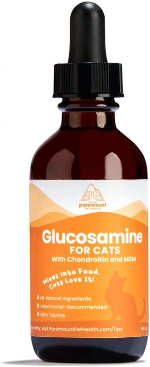 paramount glucosamine for cats